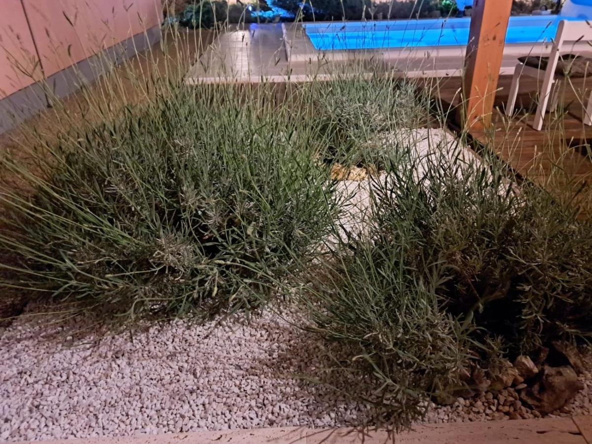 Apartman Bor Krk Krk Town Dış mekan fotoğraf